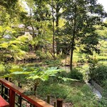Jindaiji Soba Aokiya - 隣には池が