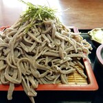 本格手打ち蕎麦・うどん 芭蕉苑 - ざる蕎麦　普通盛り