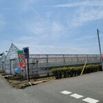 越谷ストロベリー - 