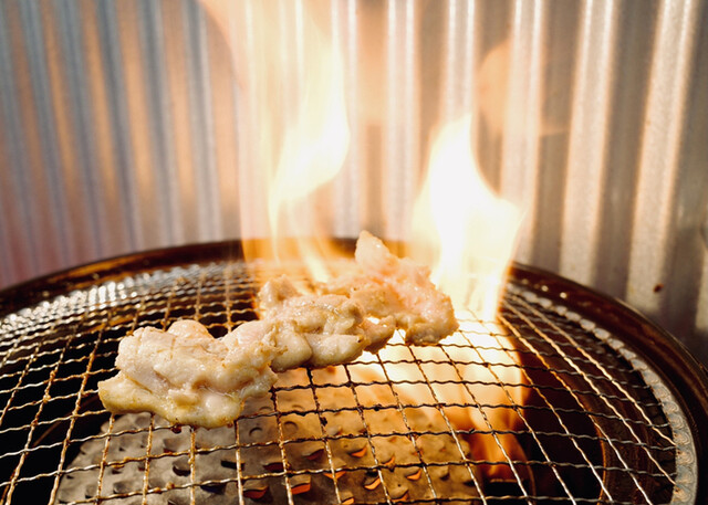 大衆焼肉 花太郎 熊本 焼肉 食べログ 大衆焼肉 花太郎 熊本 焼肉 食べログ