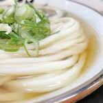 丸池製麺所 - かけうどん(ひやあつ・小)