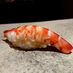 鮨 さいとう - 車海老