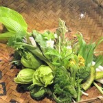 Kokorone - 摘み菜鍋の材料