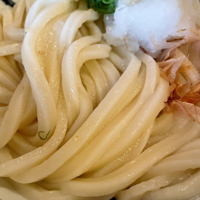 つきろう 北加賀屋 うどん 食べログ