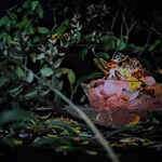 喫茶室 素朴舎 - 料理写真:初恋の苺みるく