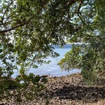 ヴィラ・デラ・パーチェ - 近隣