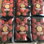 加藤農園 - おねえさんが選んでくれたいちご