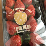 加藤農園 - よつぼし　「とちおとめの方が好き」と贅沢な娘