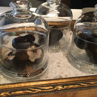 Terres de Truffes, Tokyo - 