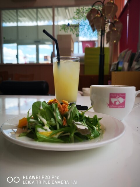 バウアイズ（BOWEYES） - 黒松（ヨーロッパ料理）の写真