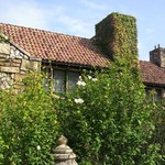 レストラン＆カフェ ラ・ヴィータ - ヨーロッパ調の建物にかなりツタがのびていました（＞＜）