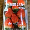 新鮮野菜直売所 あんあん百頭 - 栃木の新品種　「とちあいか」　この時期は７００円でしたぁ