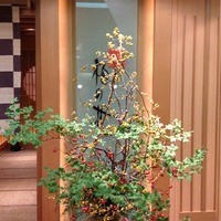 梅の花 横浜スカイビル店 - 