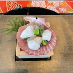 青山 星のなる木 - 