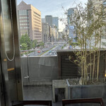 青山 星のなる木 - 