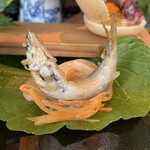 青山 星のなる木 - 