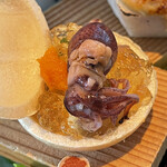 青山 星のなる木 - 