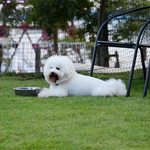 Les deux Bleue - ちょっとひと休み（２）