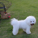 Les deux Bleue - 芝が嬉しい〜〜♬