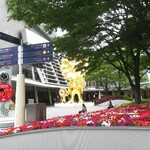 La Brianza - ヒルズの花壇。お店へ向かう途中で