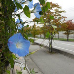 デリフランス - 表通り