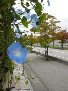 デリフランス - 表通り