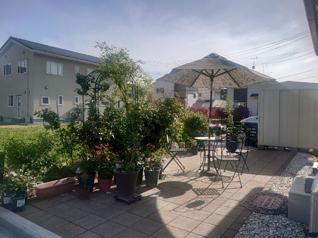 ギャラリー&カフェ びいひろ（bi-hiro） - 塚目（カフェ）の写真