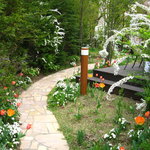 リストランテ　ベラ・モンテ - 