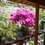 小椋 - 窓からの景色