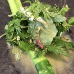 レヴォ - アスパラガス