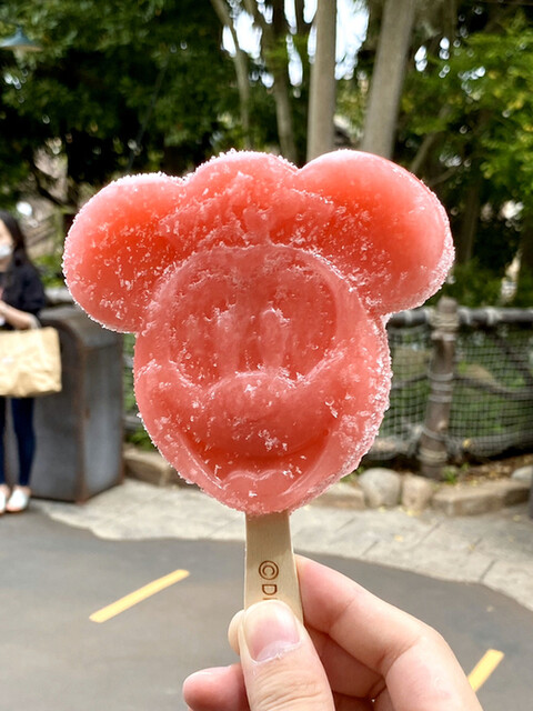 アイスクリームワゴン Ice Cream 東京ディズニーシー ステーション アイスクリーム 食べログ