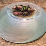 レヴォ - 蛍烏賊