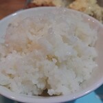 Torimonogatari Anju - ご飯