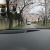 日の出家 - 永遠に桜のトンネル。