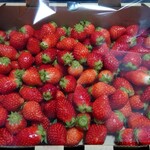 いなば苺農園 - 料理写真:わけありいちご(900円税込)