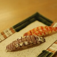 鮨裕 - 