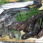 南風荘 - 目の前の海で獲れた新鮮なお魚をたくさんお出しします☆