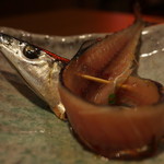 鳥太郎 - 間違い探し