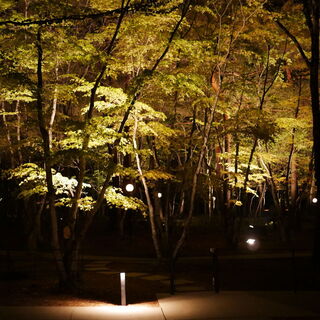 ブレストンコート ユカワタン - 