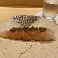 鮨 なんば 日比谷 - ぼたん海老