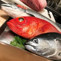 銀座 大石 - 本日のお魚たち