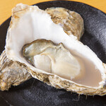 Oysters