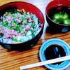 Don Sushi Maguroya Hompo - ねぎとろ丼