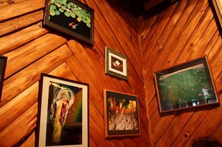 山茶花（サザンカ） - 酒田（喫茶店）の写真