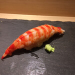 まんてん鮨 - 車海老。色鮮やかなので、トップピクチャーに。色だけでなく、弾力も文句なし。