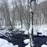 奥入瀬渓流ホテル - 