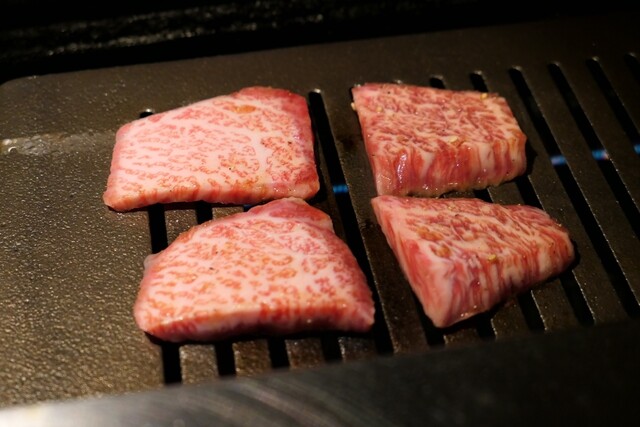 029屋 志木 焼肉 ネット予約可 食べログ 029屋 志木 焼肉 ネット予約可 食べログ