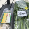 道の駅 霊山たけやま - 料理写真:かき菜1ヶ月近く旬が違う