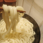 Sanuki Udom Marusan - 釜揚げうどん　麺は太く四角くコシがあって、もっちりミャ