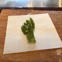 たでの葉 - 針桐の芽の天ぷら